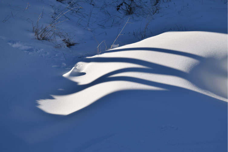 Soft snow