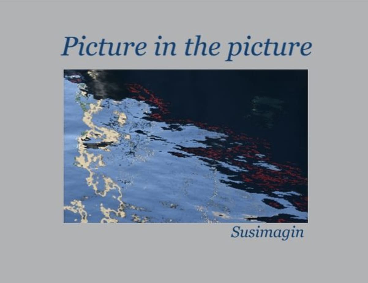Picture in the picture book cover